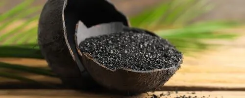 Coconut Shell Carbon